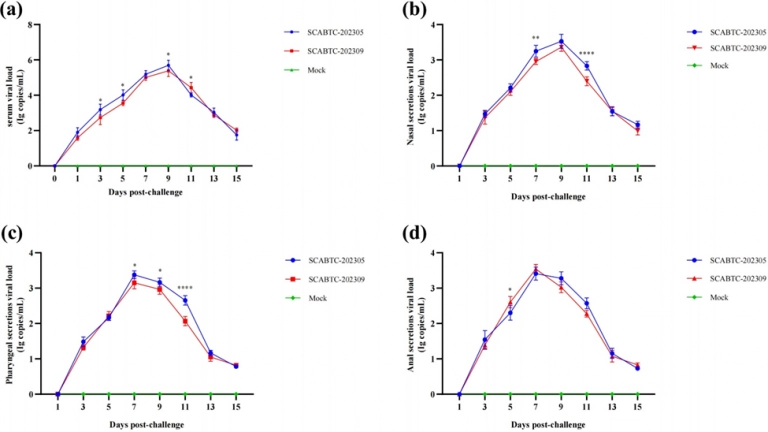 Hình 5. Kết quả kiểm tra hàm lượng virus trong (a) máu, (b) dịch tiết mũi (c) dịch tiết họng và (d) dịch tiết hậu môn. Sự khác biệt đáng kể được đánh dấu bằng dấu *: ****P < 0.0001; **P < 0.01; *P < 0.05.