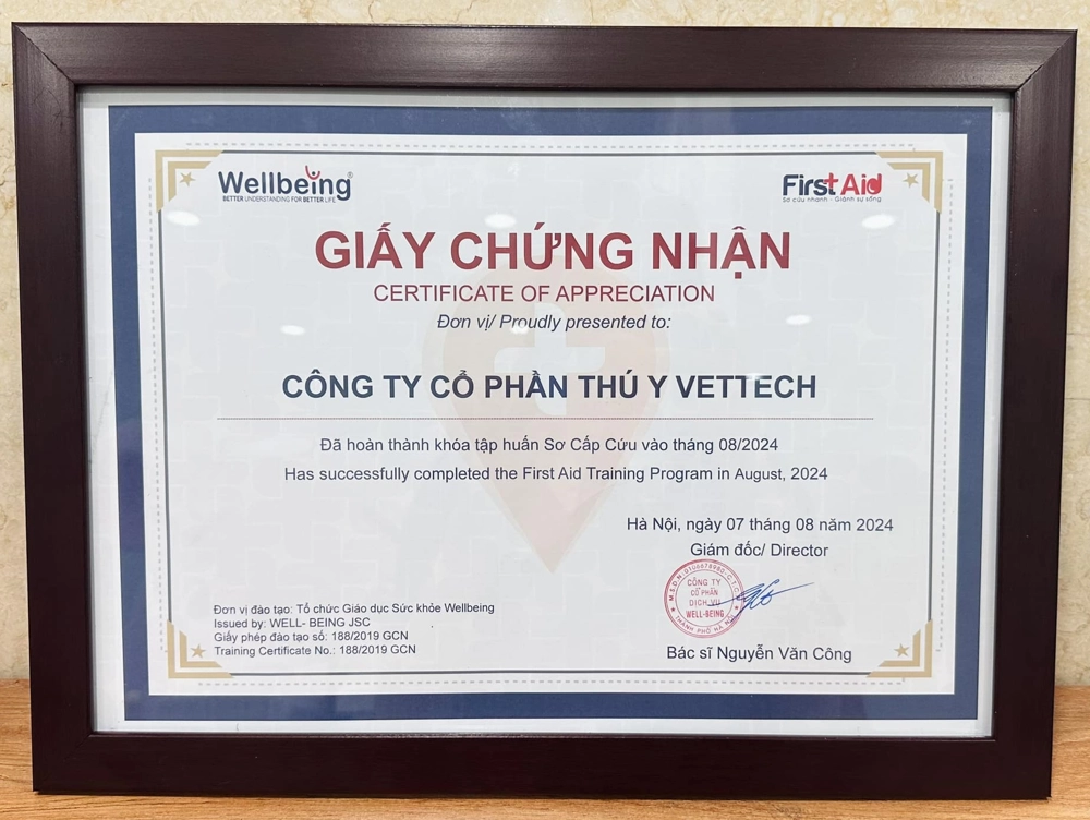 Chứng nhận Sơ Cấp Cứu