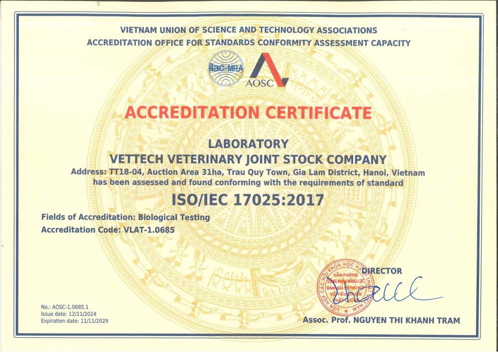 Chứng nhận ISO 2024 - bản Tiếng anh