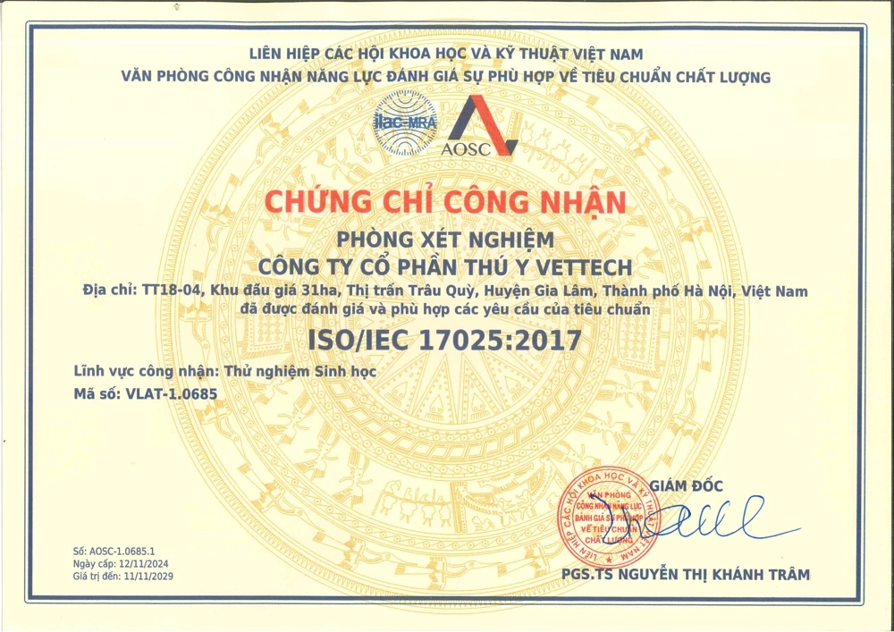 Chứng nhận ISO 2024 - bản Tiếng Việt