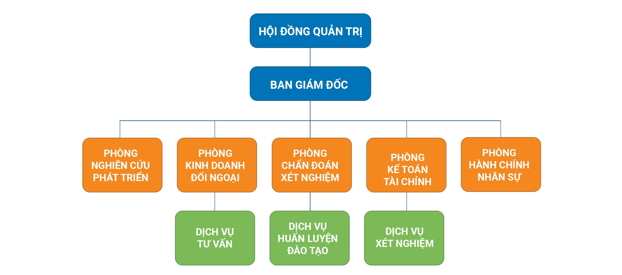 CƠ CẤU TỔ CHỨC