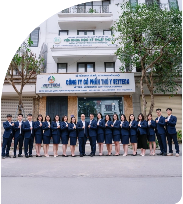 giới thiệu 2